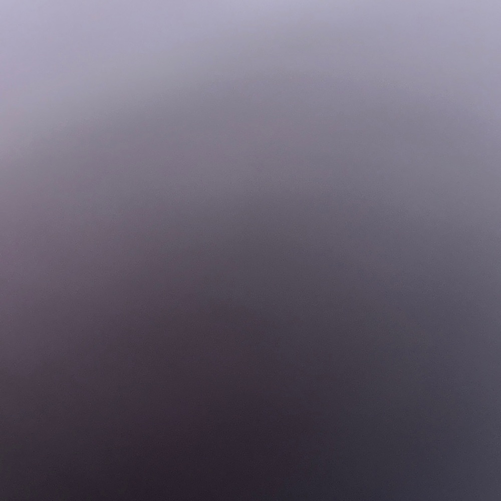 ALDO Dark Green Crossbody Bag with Gold Accents - Picture 6 of 6